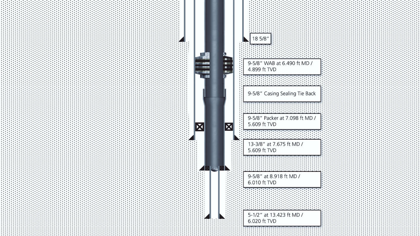 Welltec | JMA202592 - 1214 WAB for liner tie back assurance