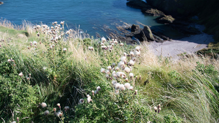 1920 X 1080 Environment