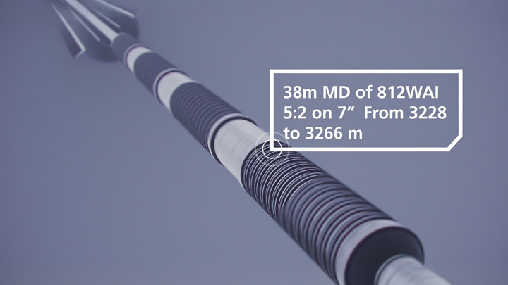 Close-up digital rendering of a 38-meter section of 812WAI installed on 7" casing, illustrating North Sea deployment from 3228 to 3266 meters depth.