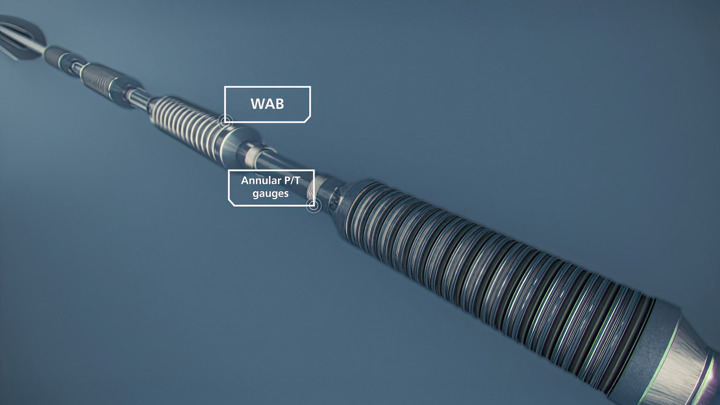 Close-up image of a long metal rod associated with Multiple 1214WAB for deep water cementless zonal isolation.